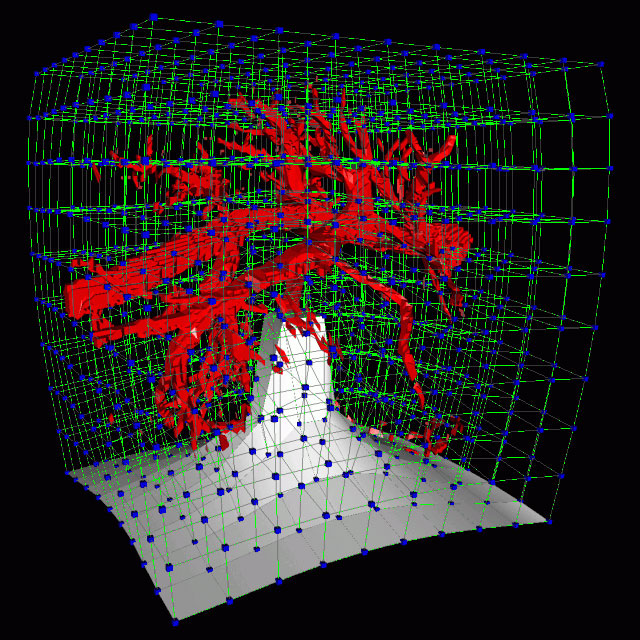 FEM Simulation Result