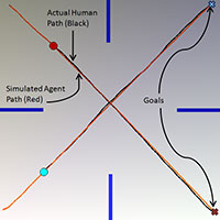 Experimental Setup and Paths of Real Humans and RCAP Agents
